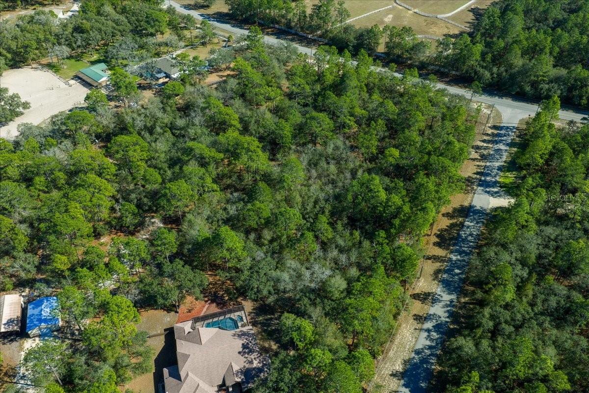 6055 W PONDEROSA PL, BEVERLY HILLS, FL, 34465