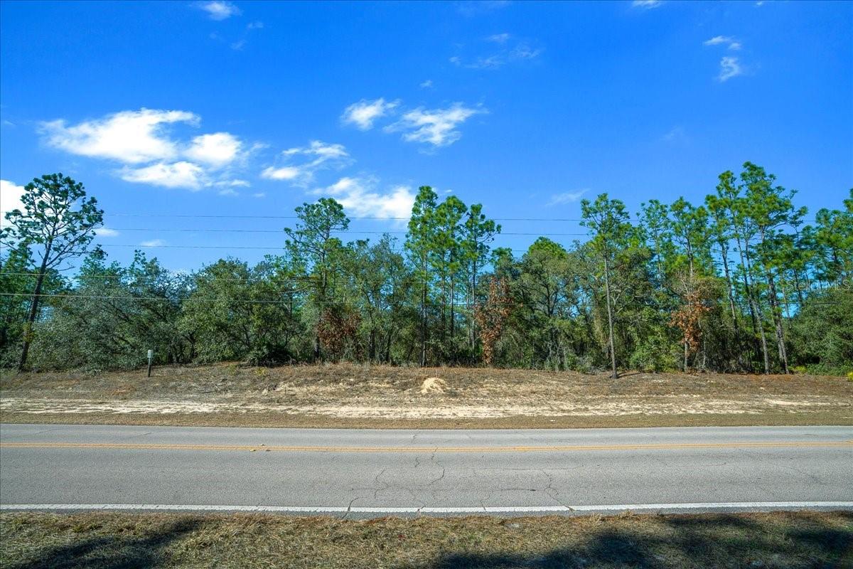 6055 W PONDEROSA PL, BEVERLY HILLS, FL, 34465