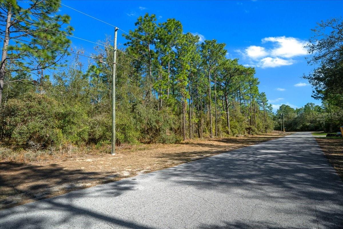 6055 W PONDEROSA PL, BEVERLY HILLS, FL, 34465