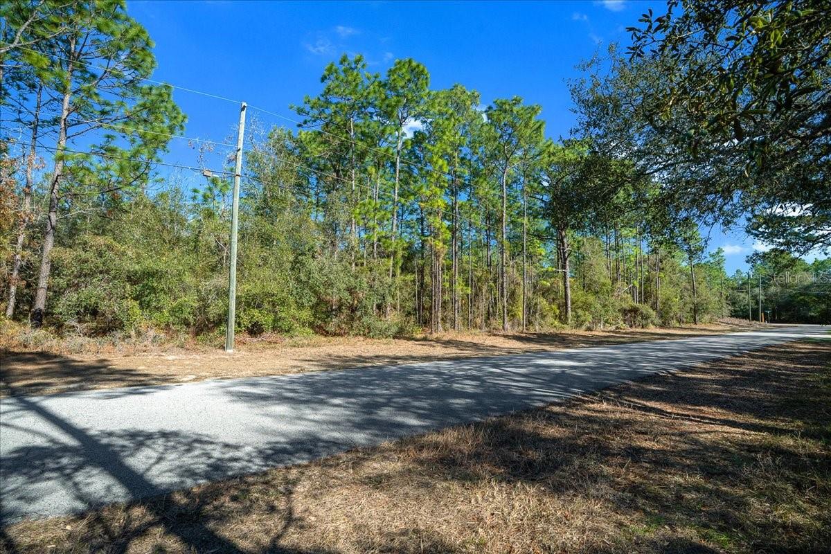 6055 W PONDEROSA PL, BEVERLY HILLS, FL, 34465