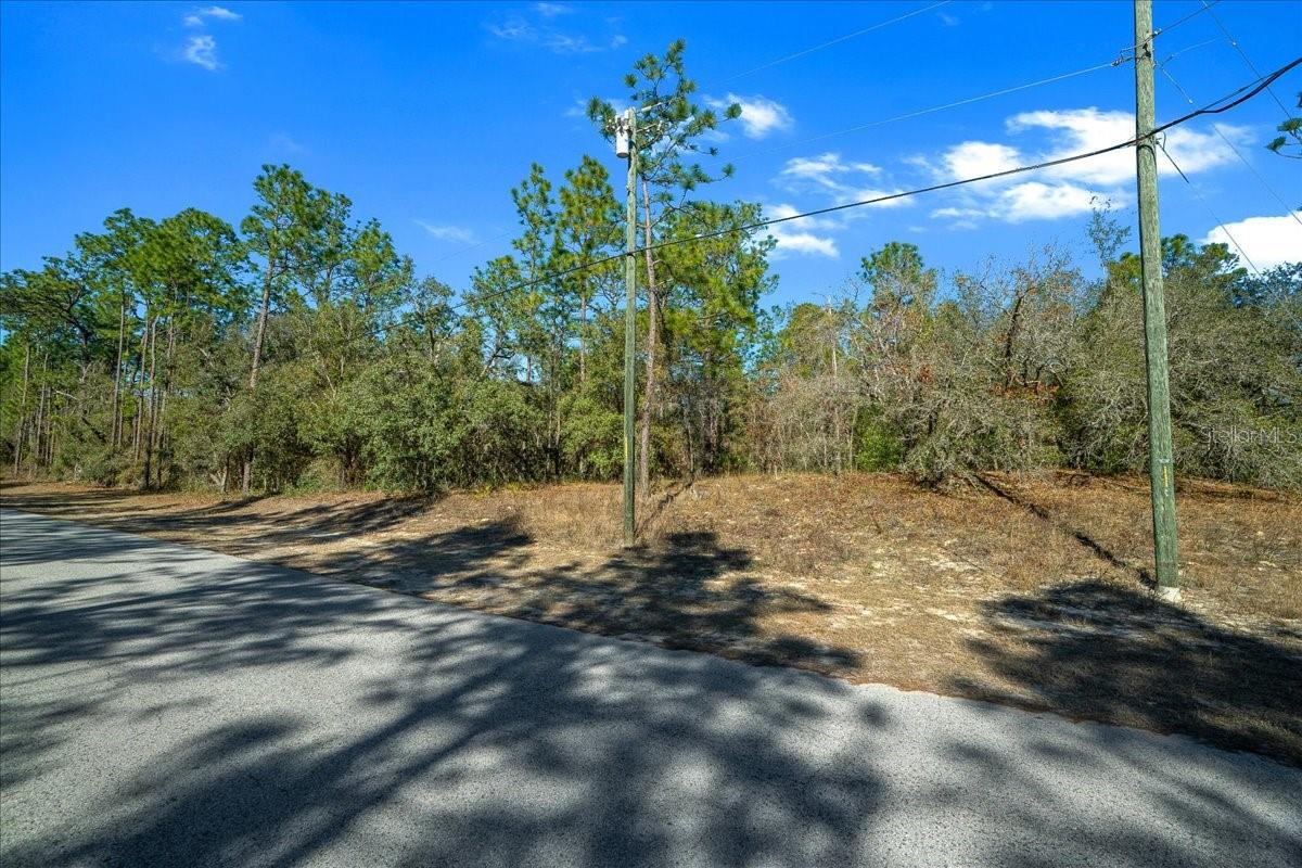 6055 W PONDEROSA PL, BEVERLY HILLS, FL, 34465