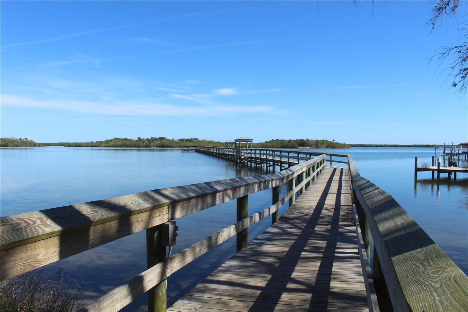 415 SIOUX BLVD, OAK HILL, FL, 32759