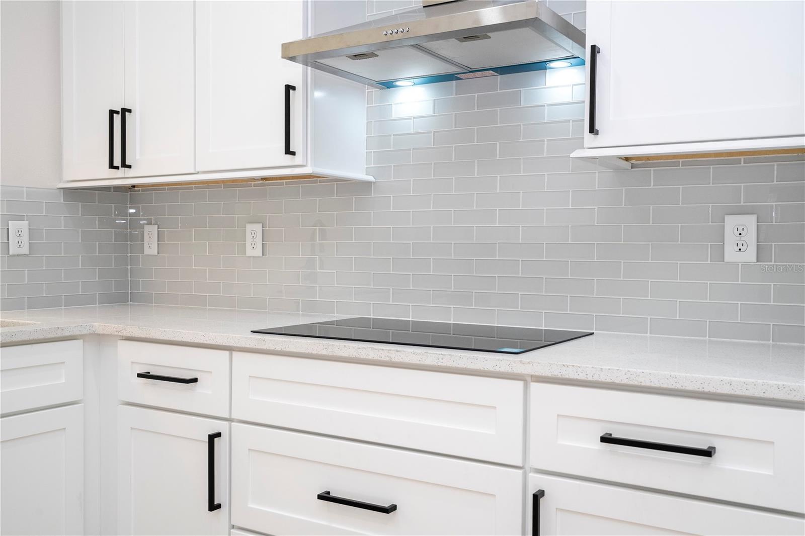 427 EAST 13TH STREET, APOPKA, FL, 32703