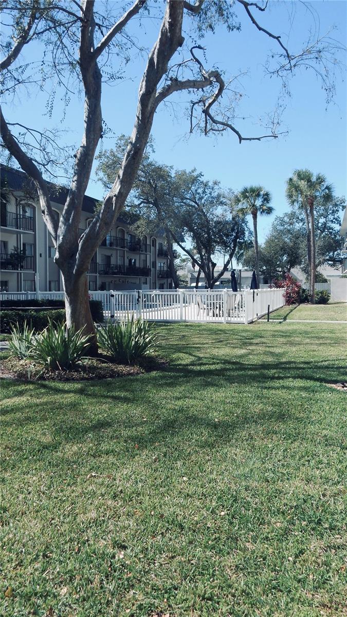 4606 W GRAY ST #206, TAMPA, FL, 33609