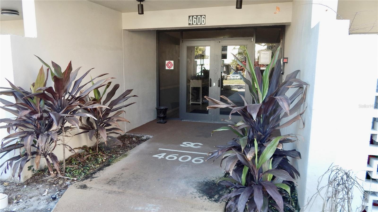 4606 W GRAY ST #206, TAMPA, FL, 33609