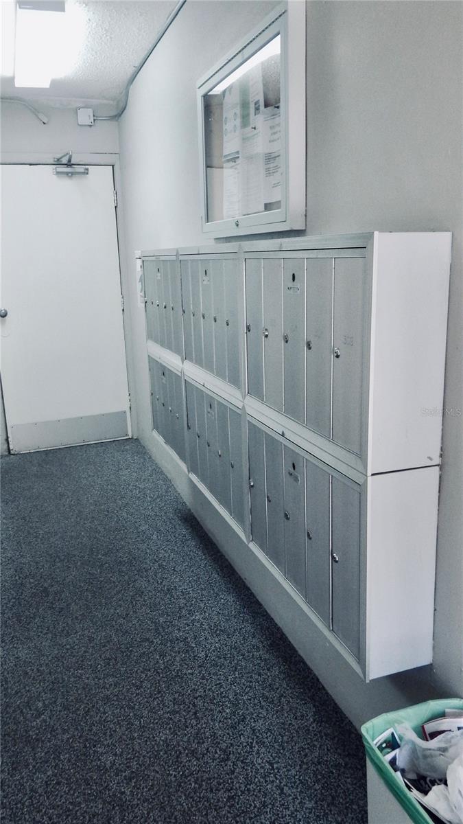 4606 W GRAY ST #206, TAMPA, FL, 33609