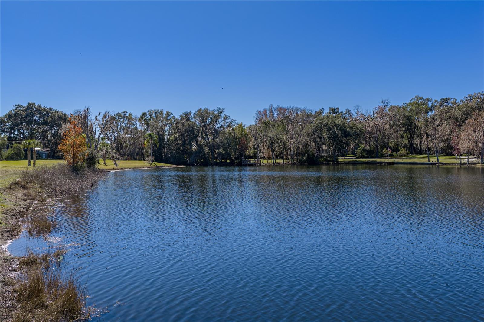 11045 FORT KING RD, DADE CITY, FL, 33525