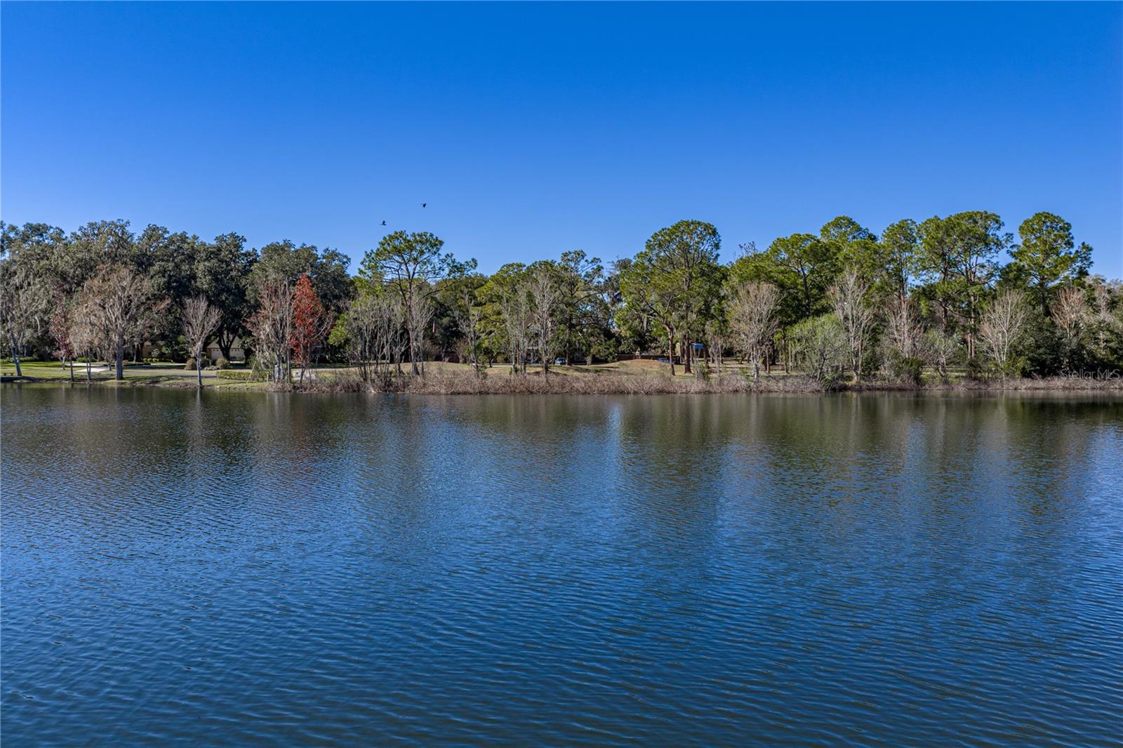 11045 FORT KING RD, DADE CITY, FL, 33525