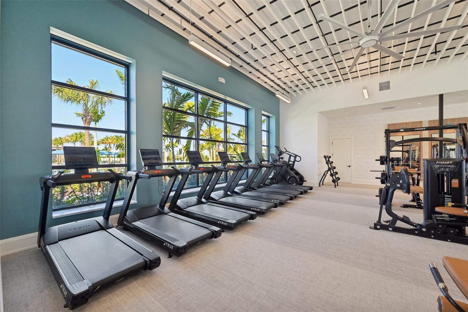 11343 BOUNDLESS TER, VENICE, FL, 34293