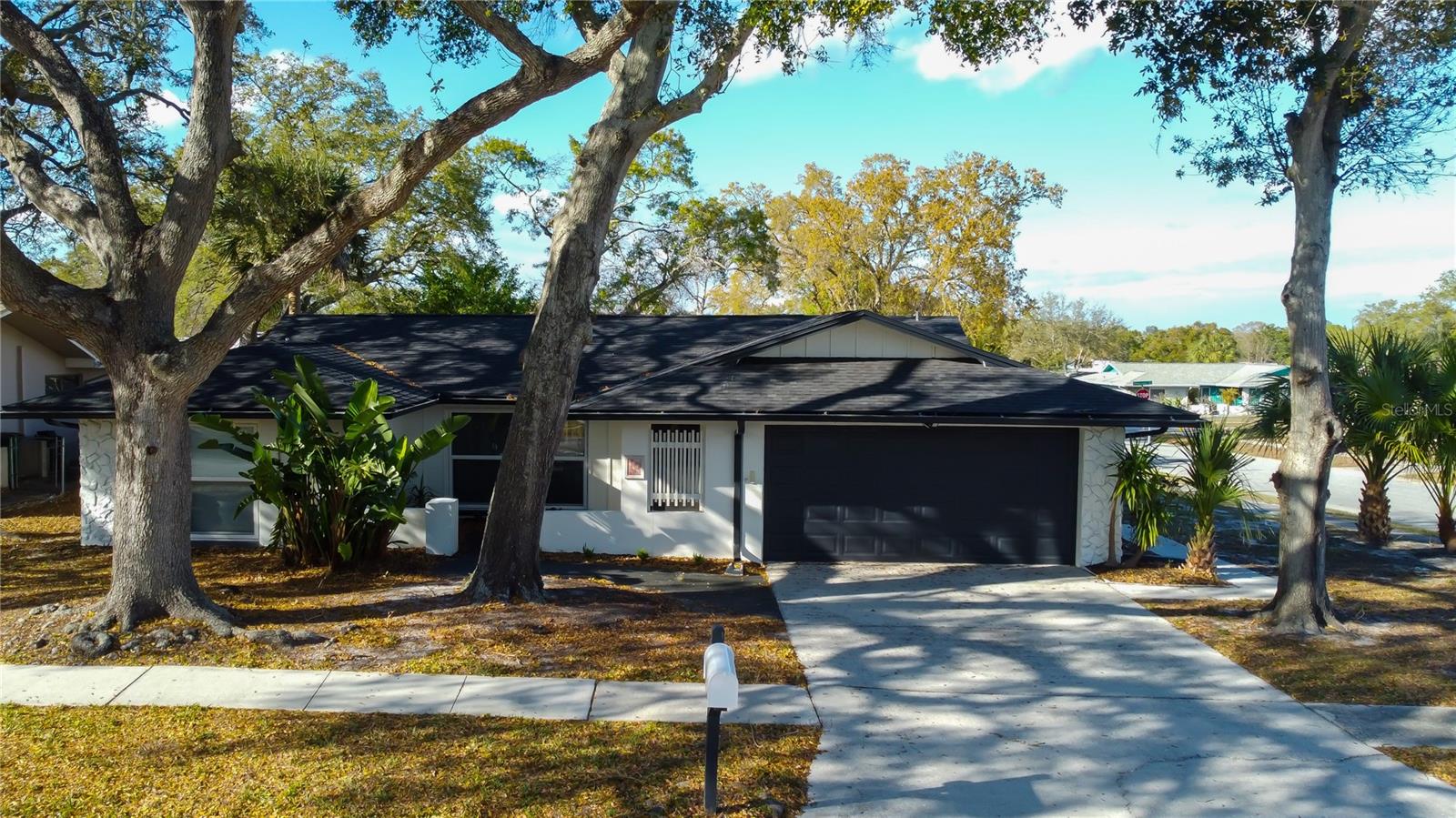 101 NESTLEBRANCH DR, SAFETY HARBOR, FL, 34695