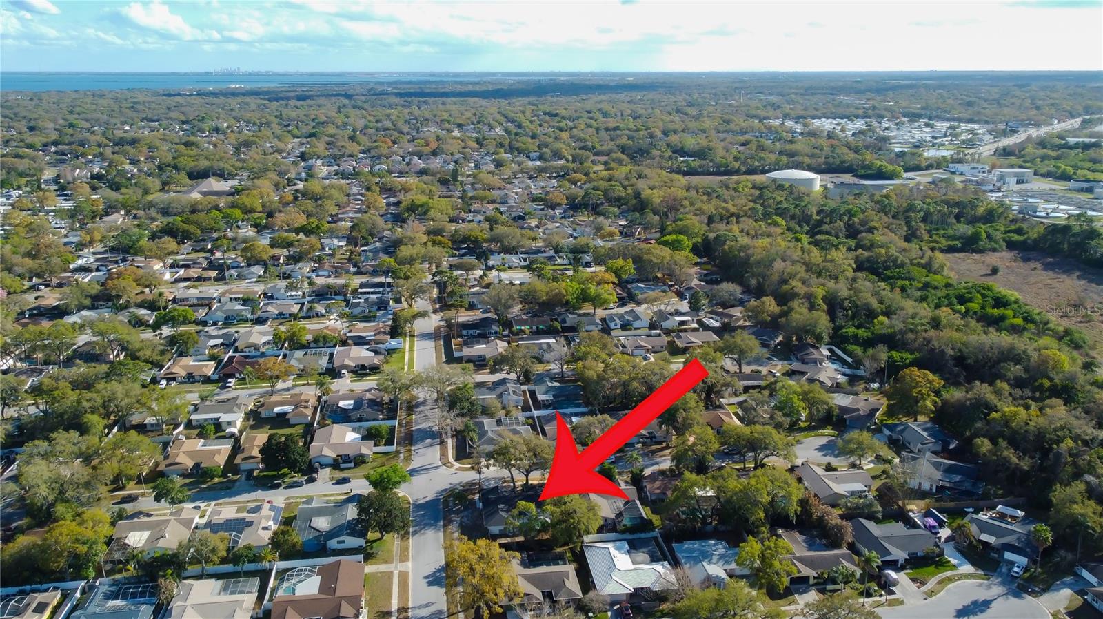 101 NESTLEBRANCH DR, SAFETY HARBOR, FL, 34695
