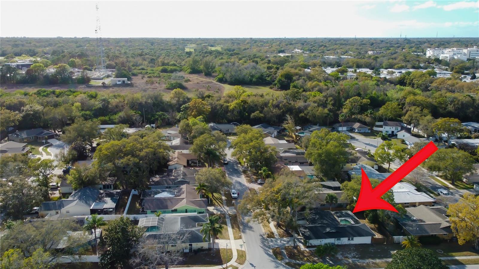 101 NESTLEBRANCH DR, SAFETY HARBOR, FL, 34695