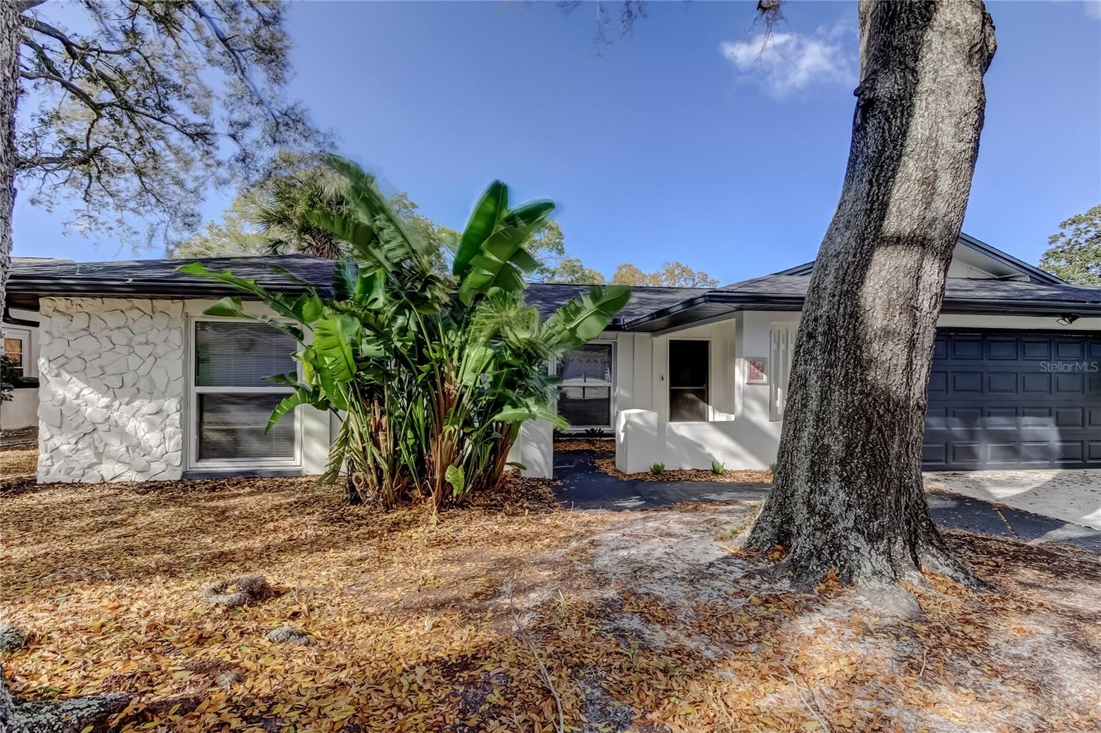101 NESTLEBRANCH DR, SAFETY HARBOR, FL, 34695