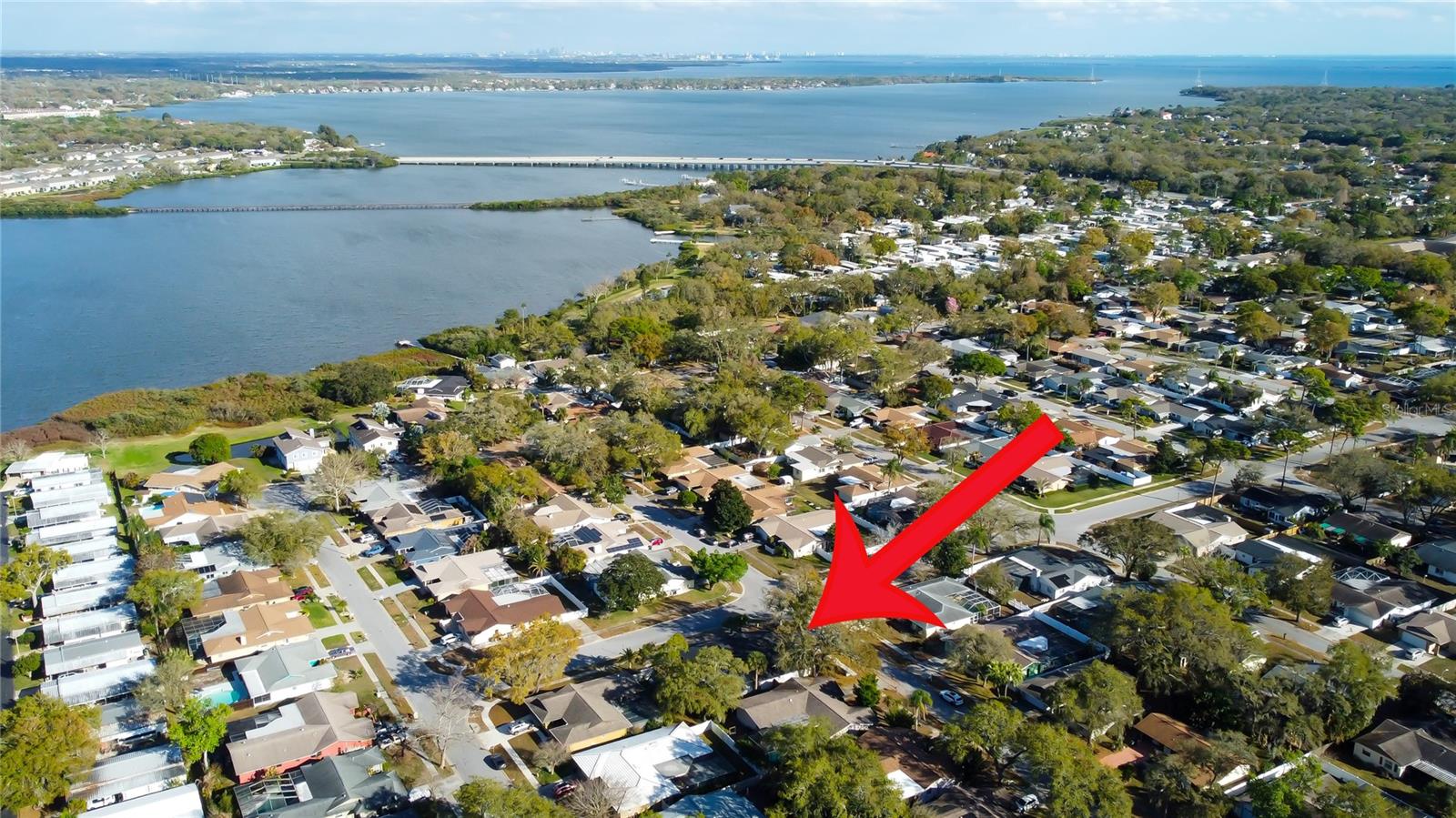 101 NESTLEBRANCH DR, SAFETY HARBOR, FL, 34695