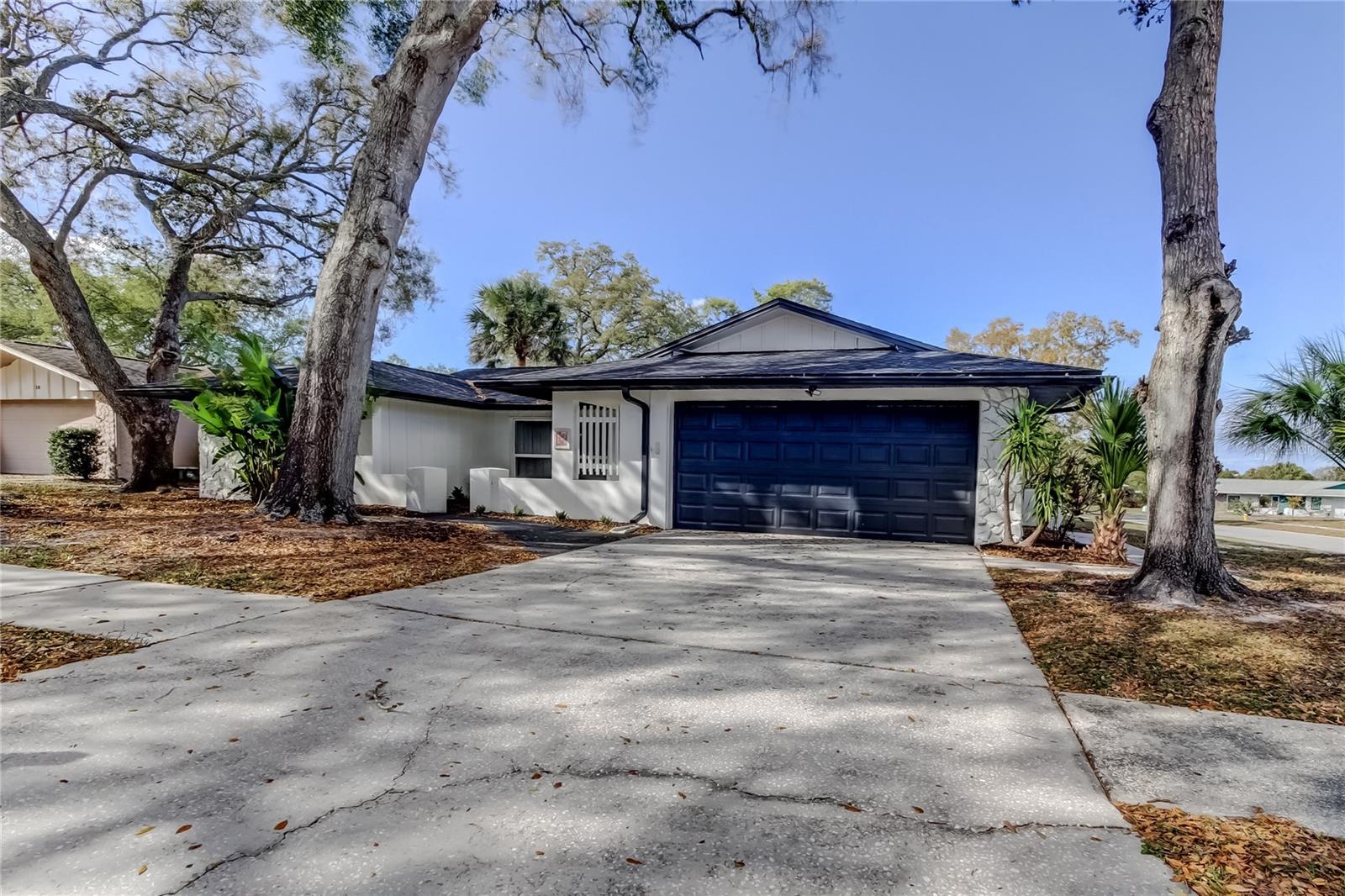 101 NESTLEBRANCH DR, SAFETY HARBOR, FL, 34695