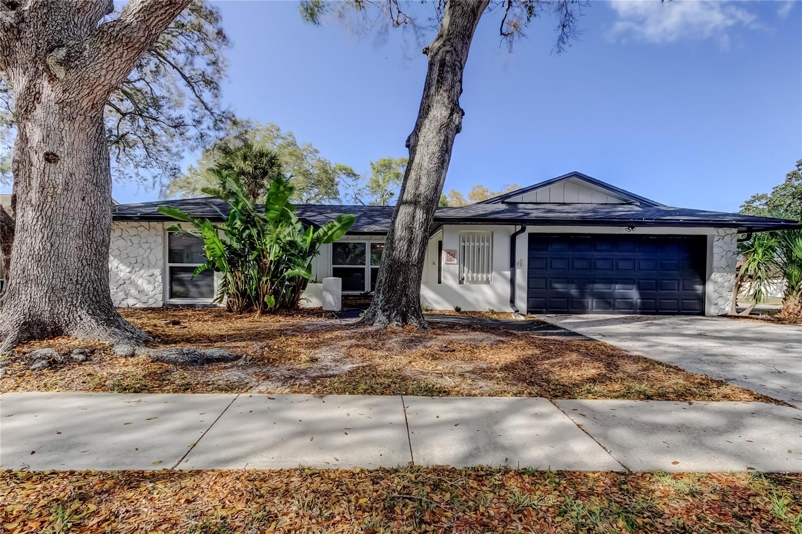101 NESTLEBRANCH DR, SAFETY HARBOR, FL, 34695