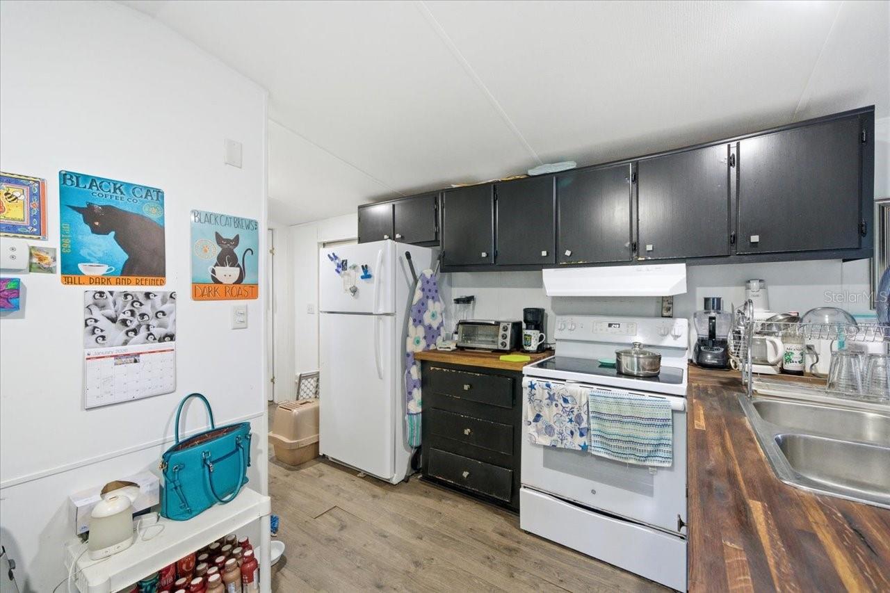 34925 EMILY DR, DADE CITY, FL, 33523