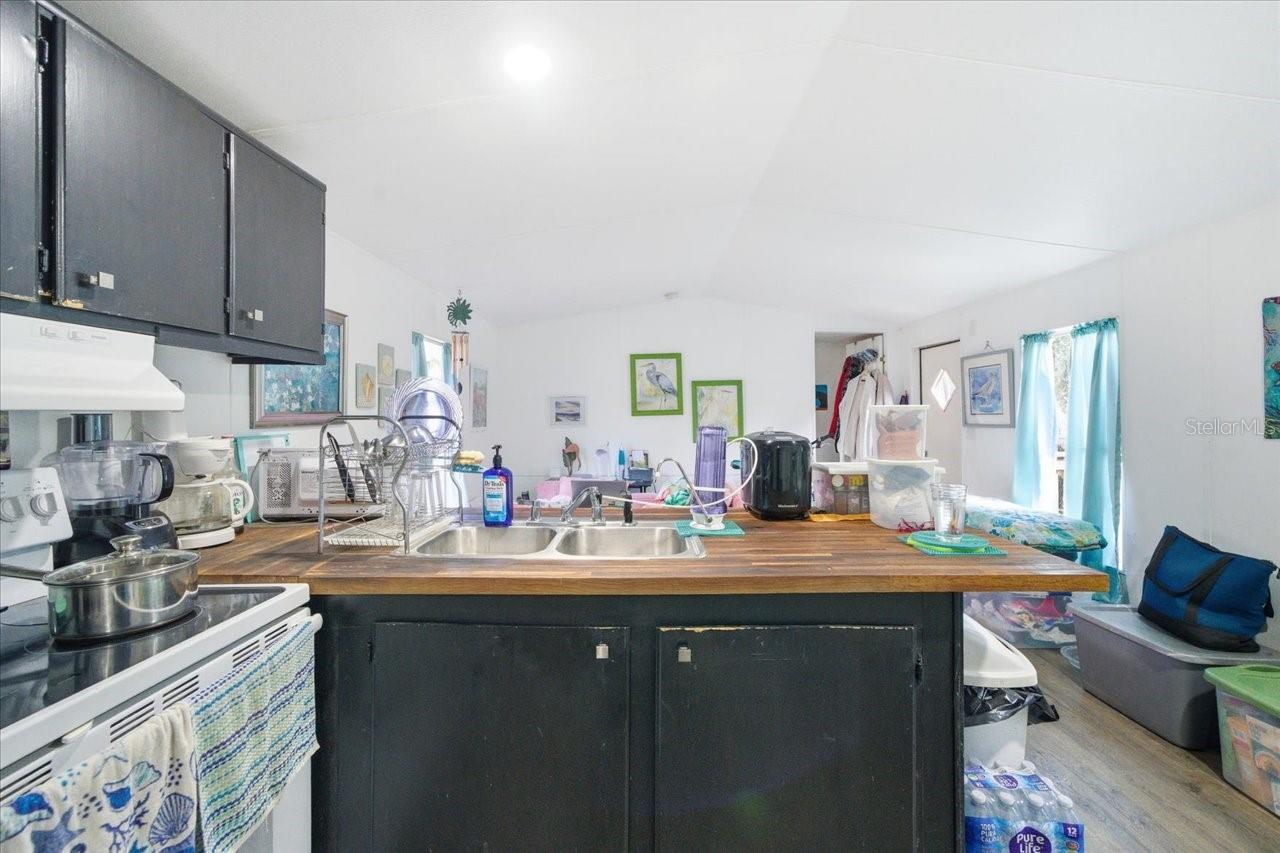 34925 EMILY DR, DADE CITY, FL, 33523