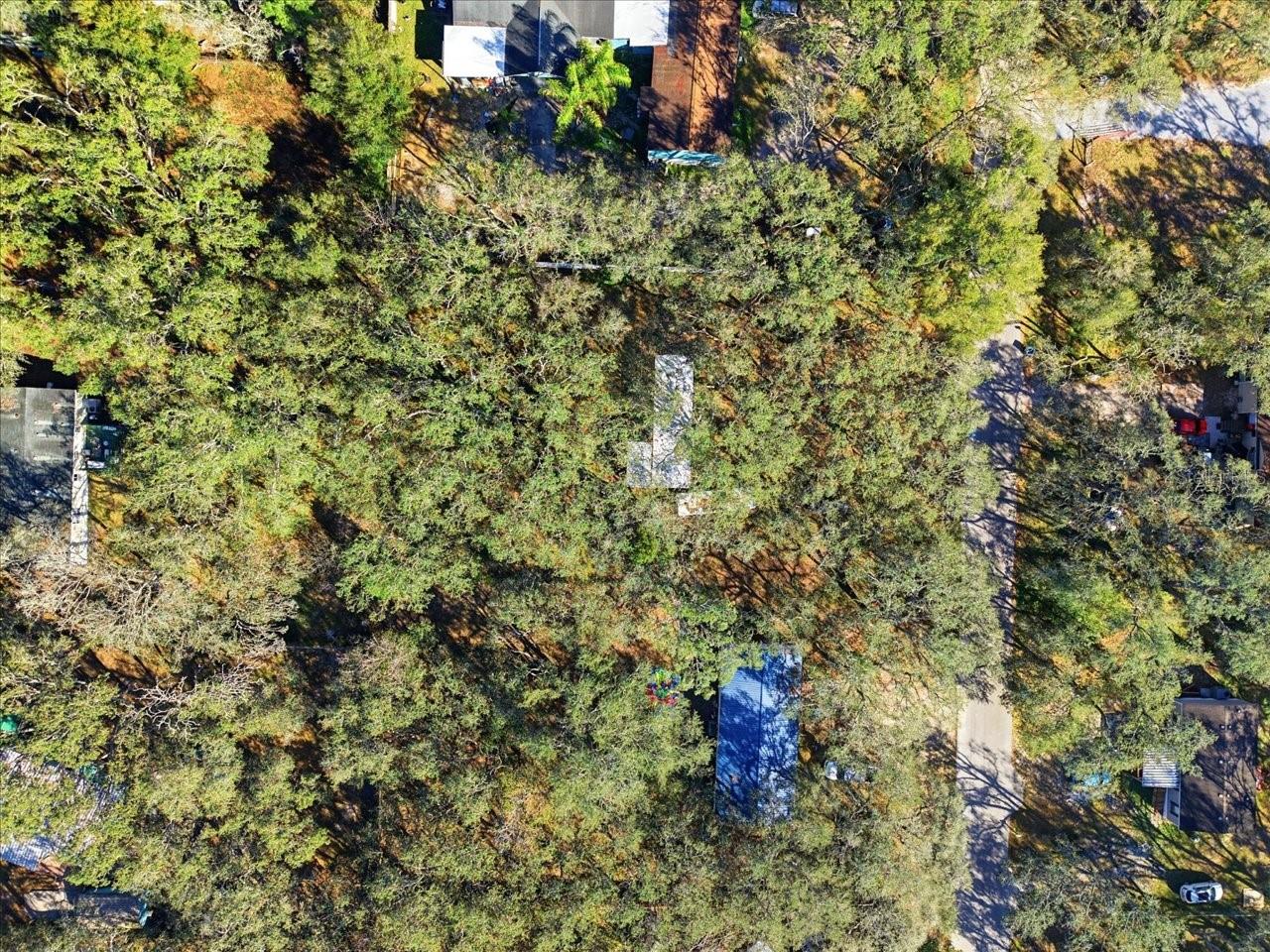 34925 EMILY DR, DADE CITY, FL, 33523