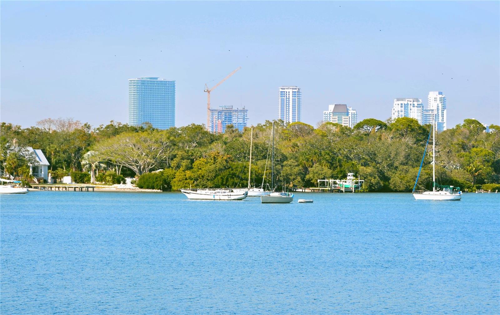 View of Downtown St. Pete from back patio
