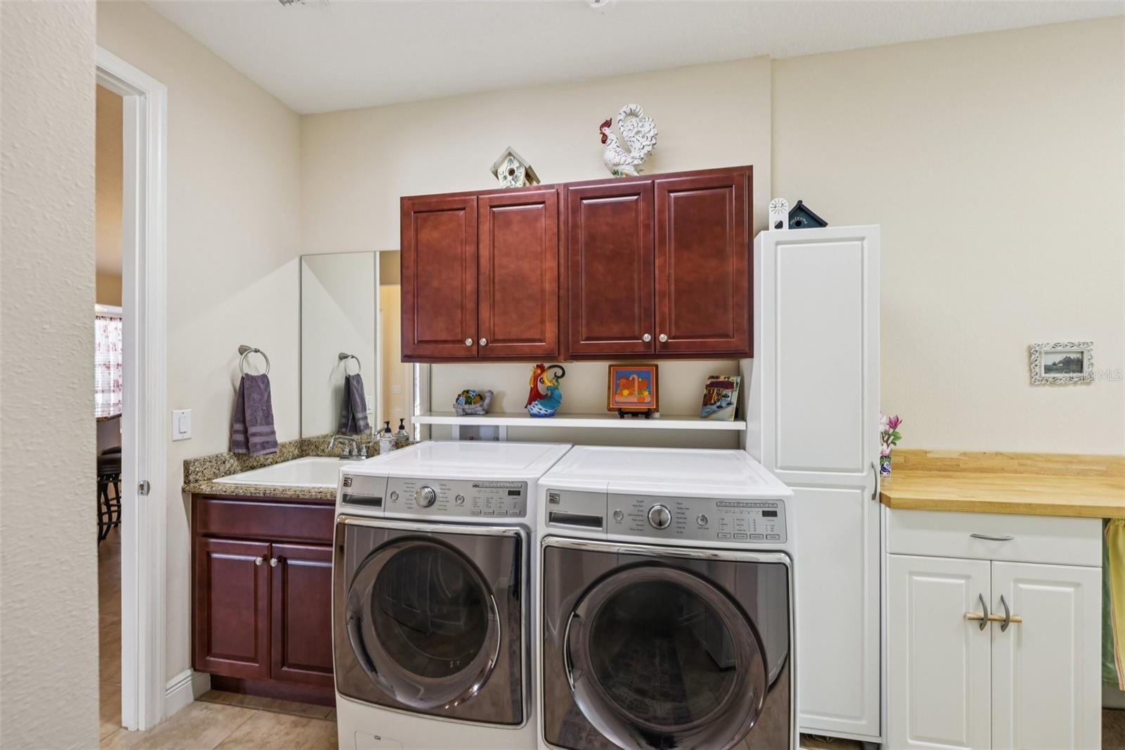 2489 PAWTUCKET PASS, MOUNT DORA, FL, 32757
