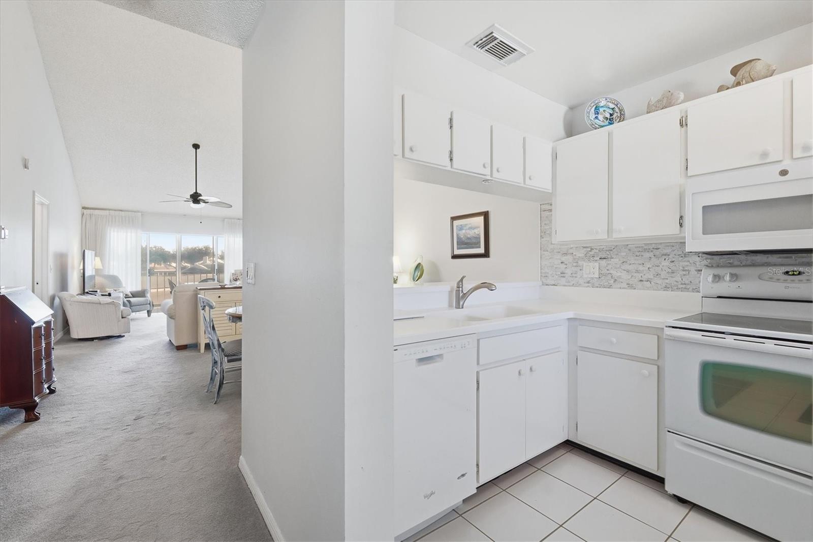 414 CERROMAR CIR S #249, VENICE, FL, 34293