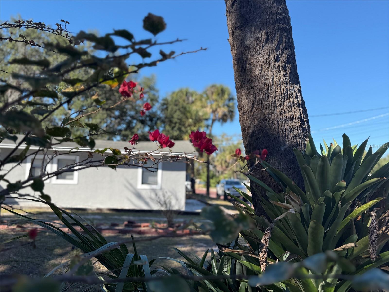 1008 W GRACE ST, TAMPA, FL, 33607