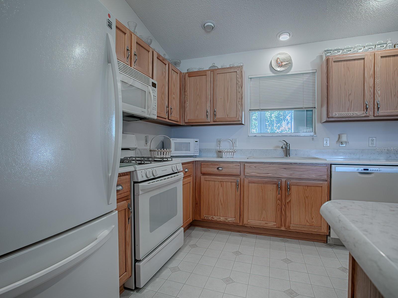 16914 SE 96TH CHAPELWOOD CIR, THE VILLAGES, FL, 32162