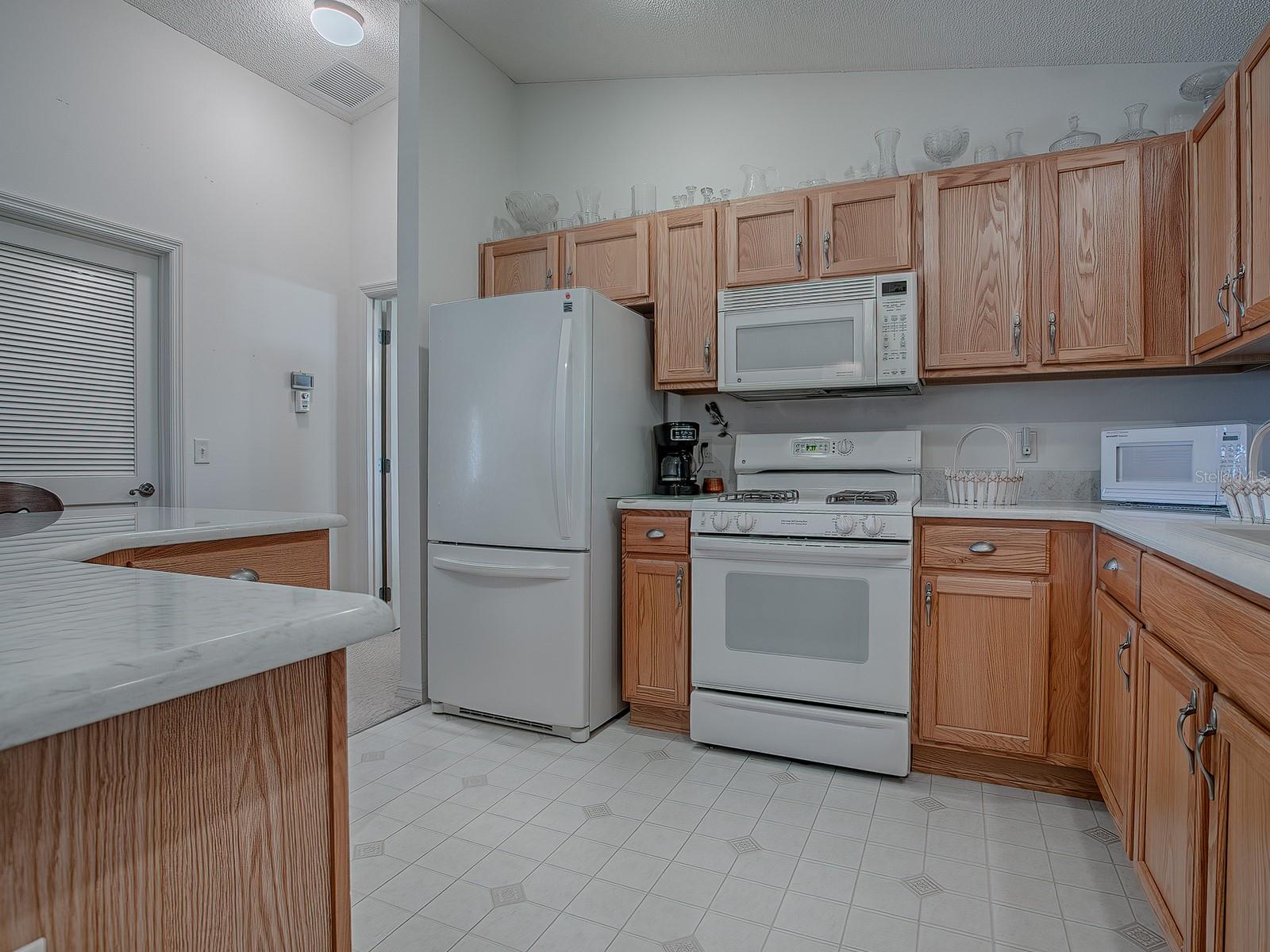 16914 SE 96TH CHAPELWOOD CIR, THE VILLAGES, FL, 32162