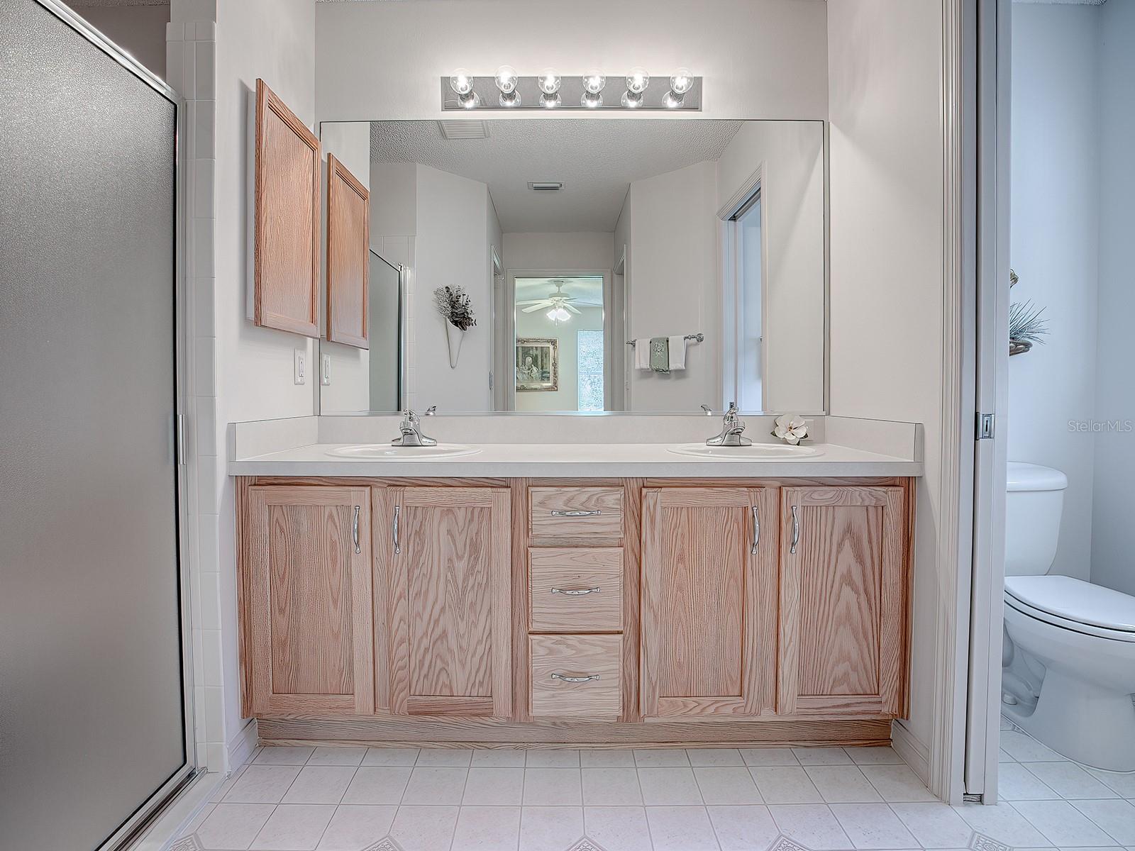 16914 SE 96TH CHAPELWOOD CIR, THE VILLAGES, FL, 32162