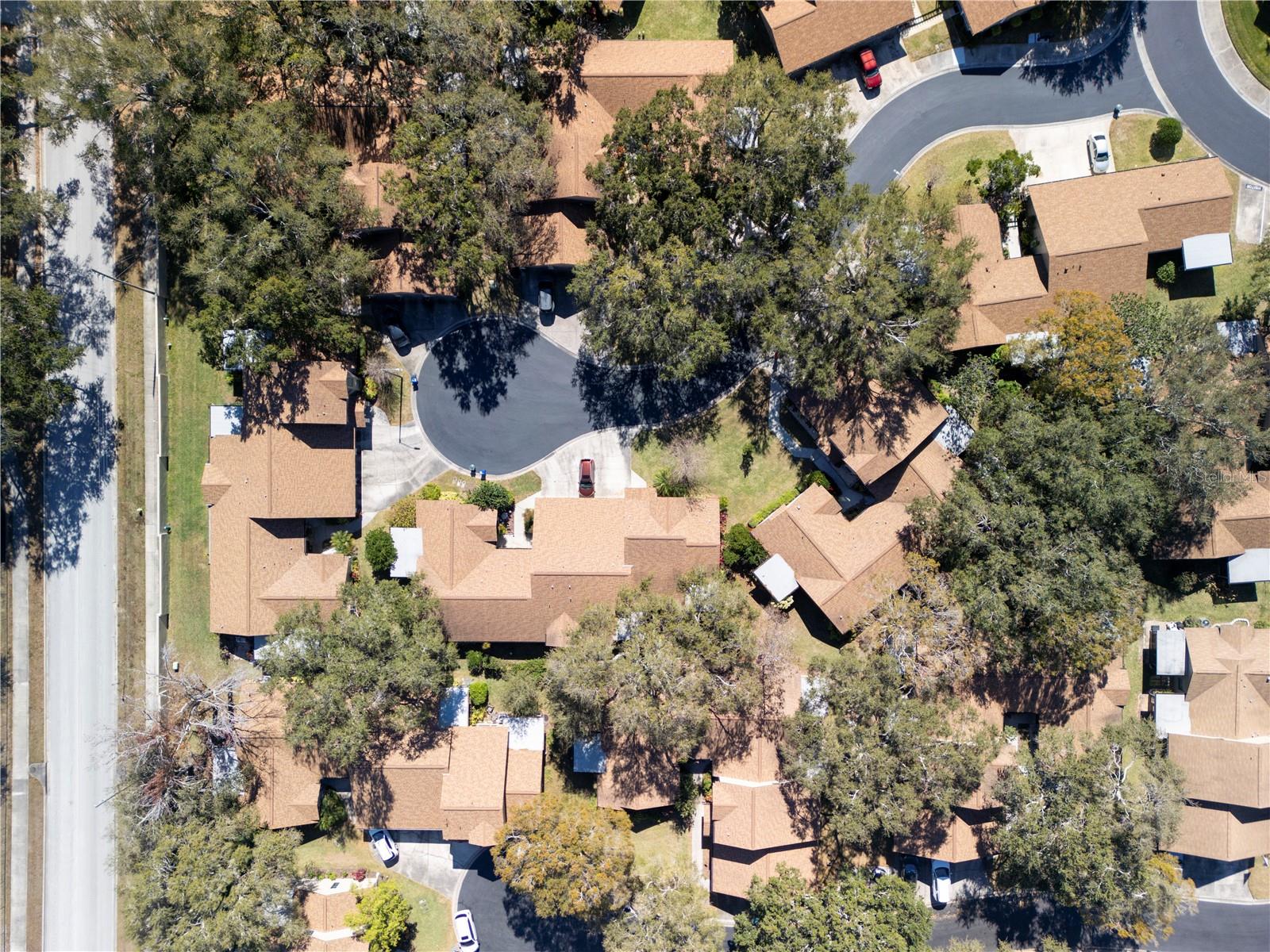 1684 FRY CT, DUNEDIN, FL, 34698