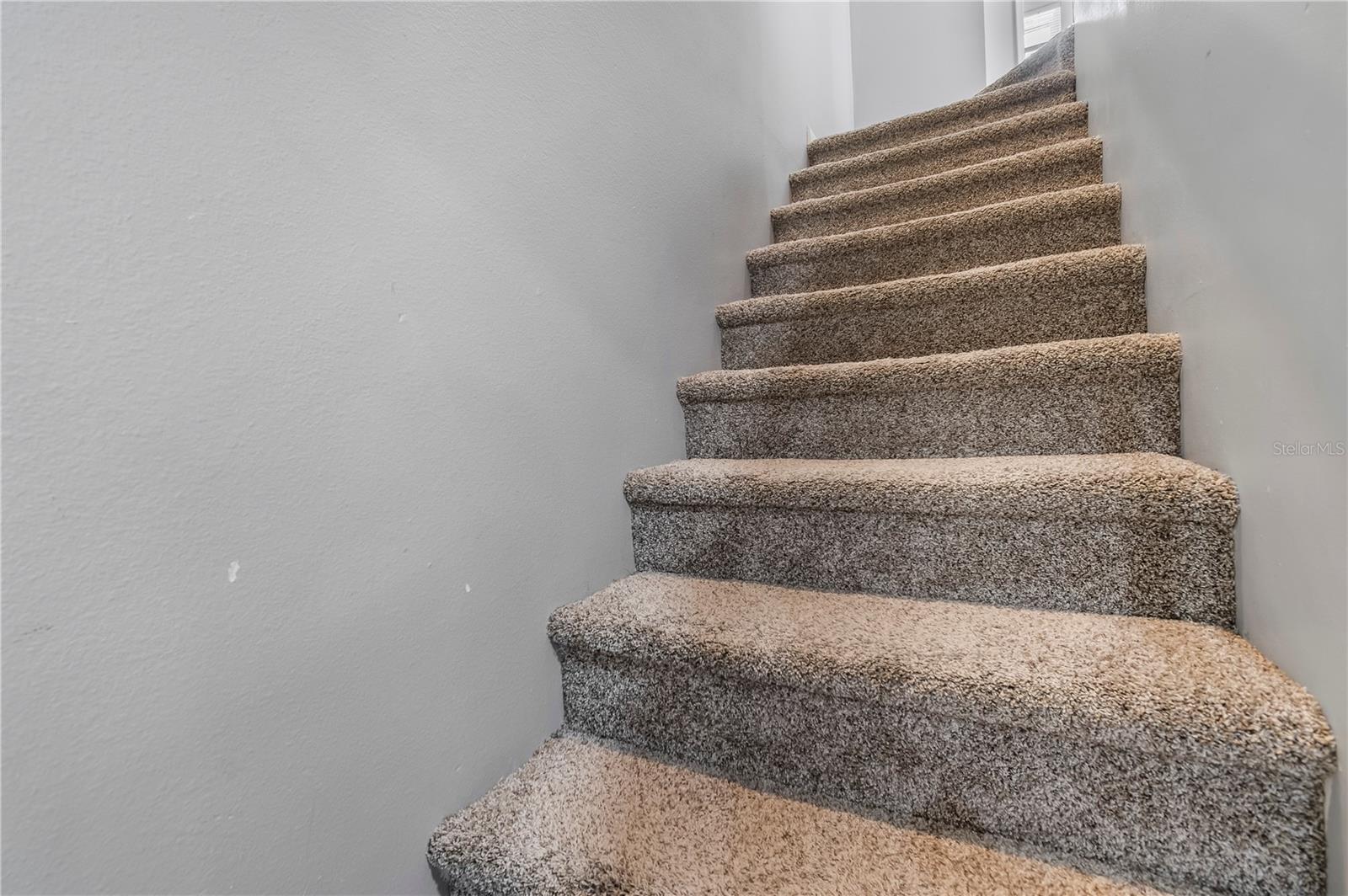 1684 FRY CT, DUNEDIN, FL, 34698