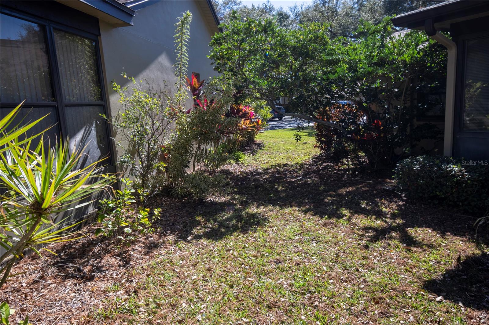 1684 FRY CT, DUNEDIN, FL, 34698