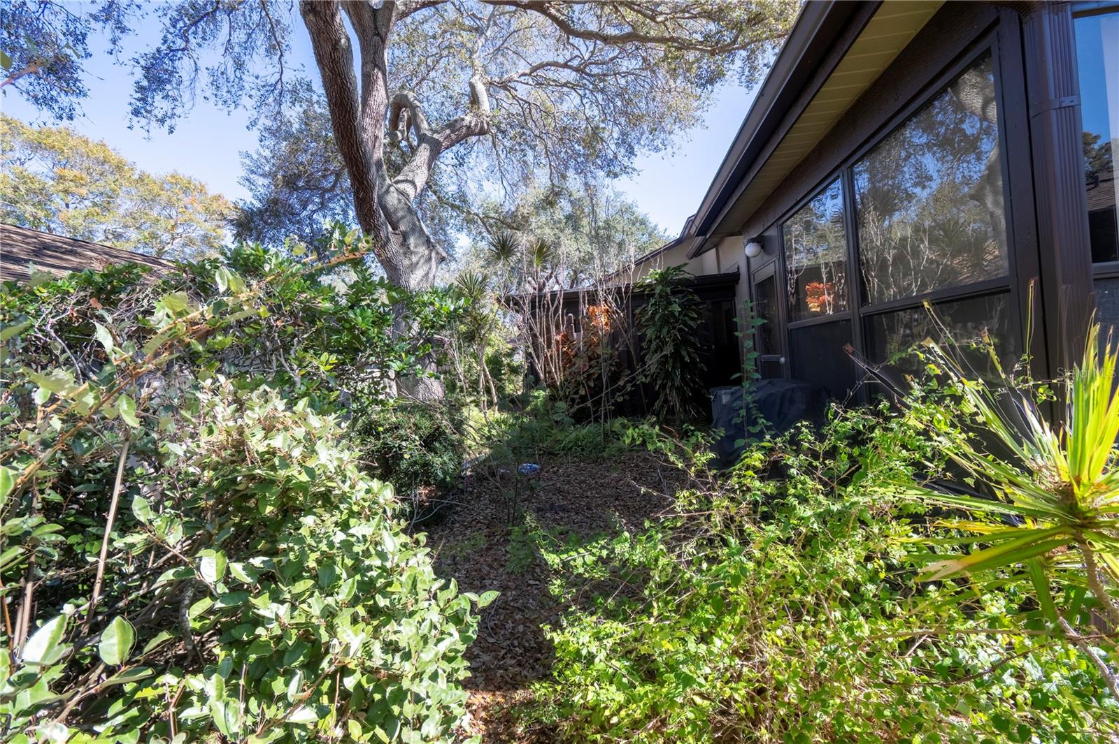 1684 FRY CT, DUNEDIN, FL, 34698