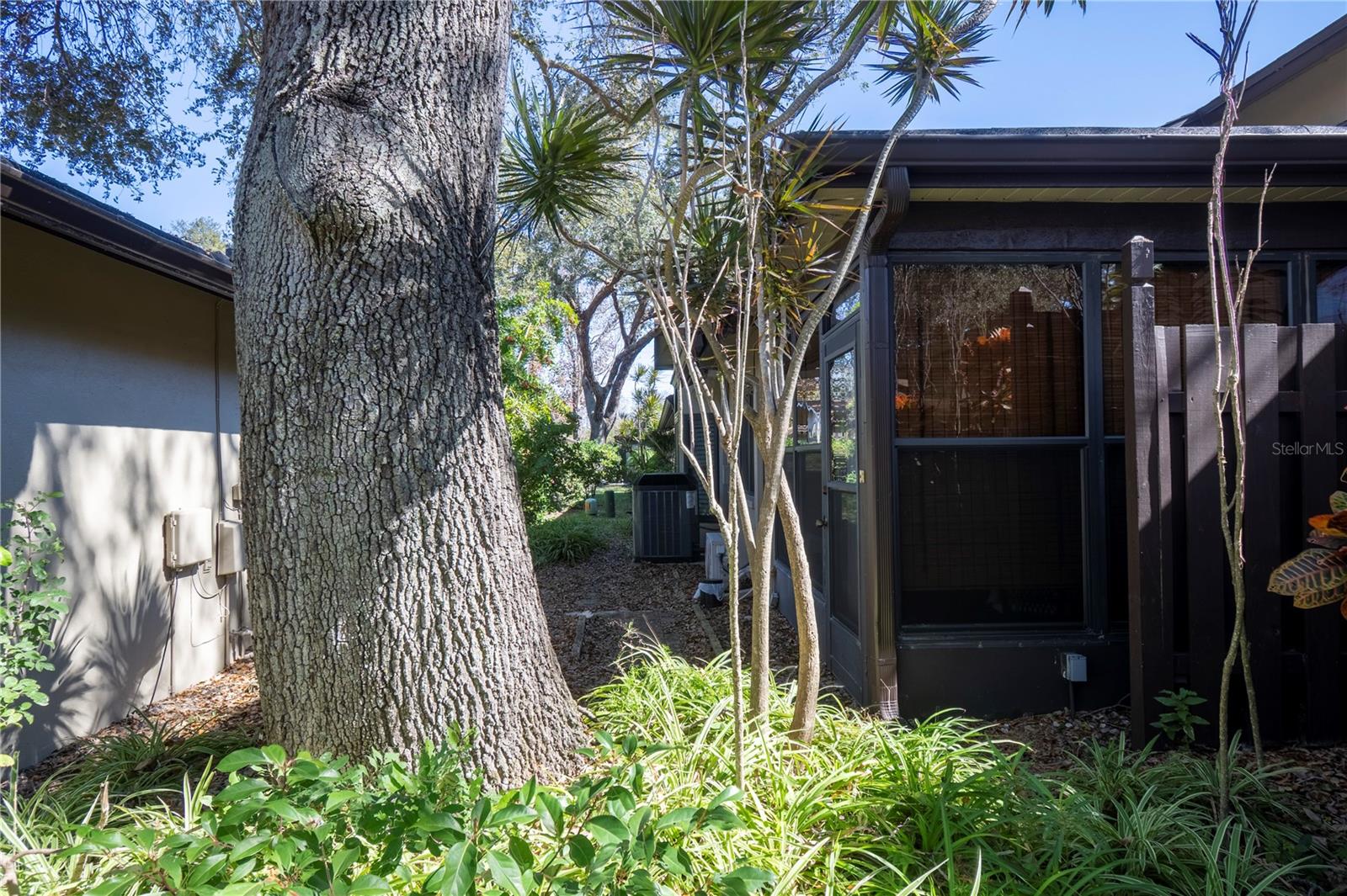 1684 FRY CT, DUNEDIN, FL, 34698