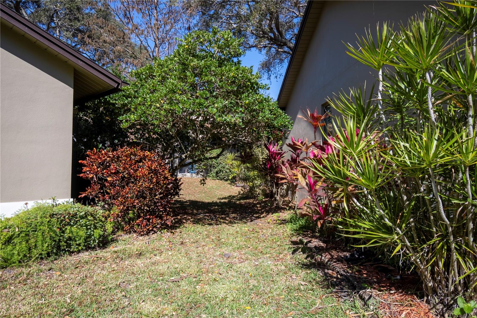 1684 FRY CT, DUNEDIN, FL, 34698