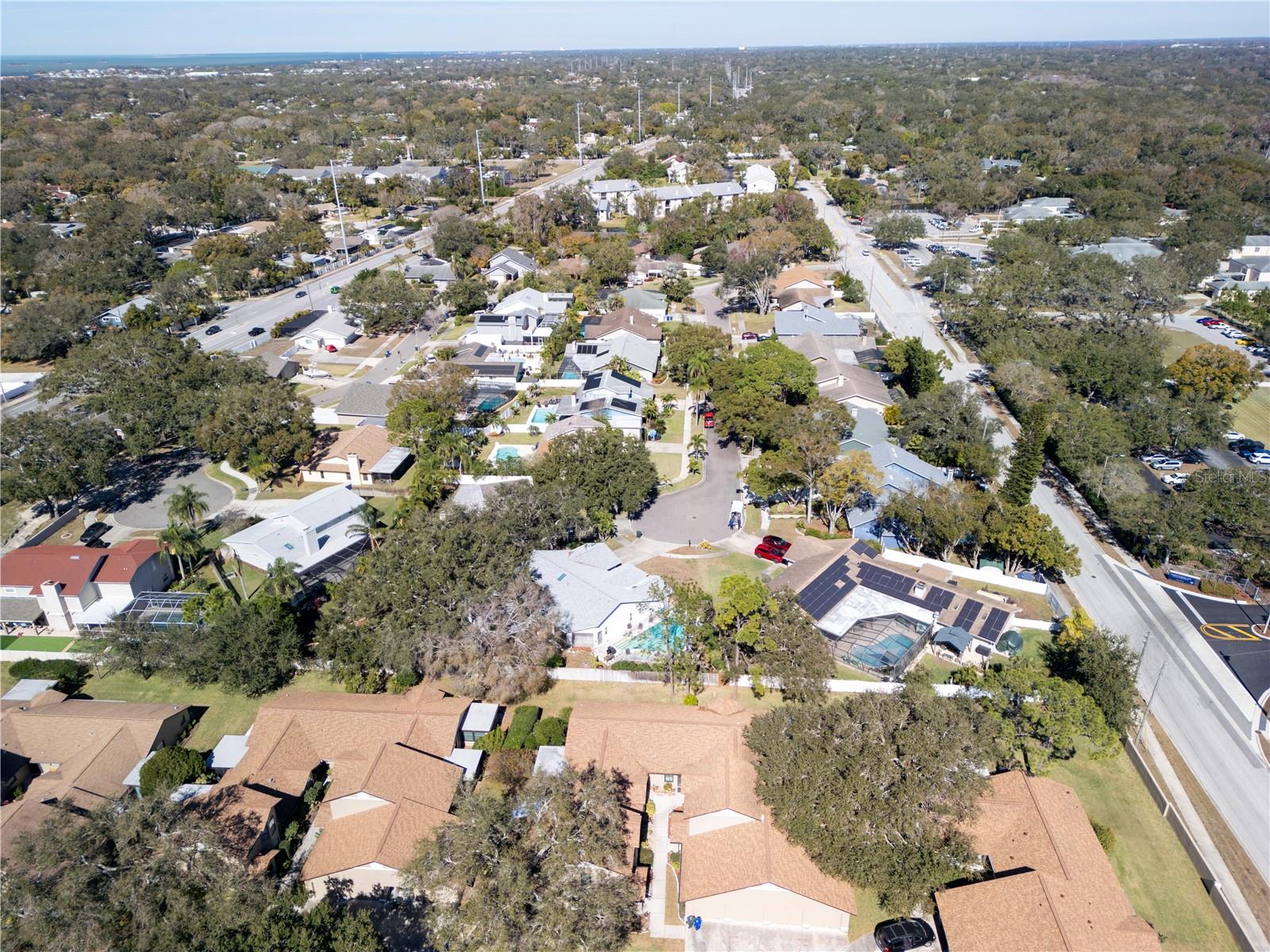 1684 FRY CT, DUNEDIN, FL, 34698