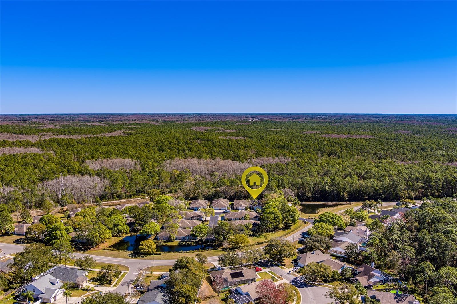 4405 CONNERY CT, PALM HARBOR, FL, 34685