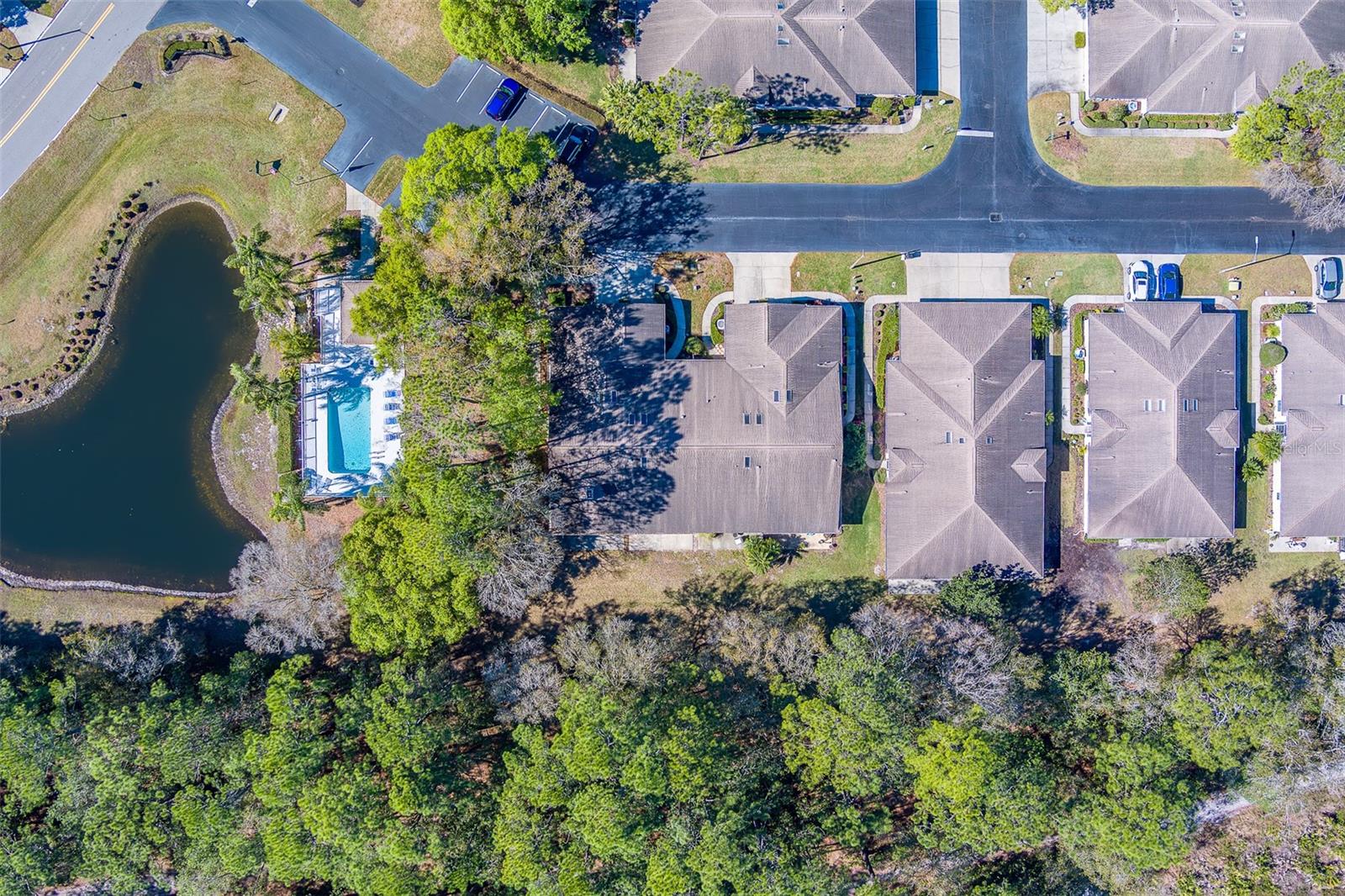 4405 CONNERY CT, PALM HARBOR, FL, 34685