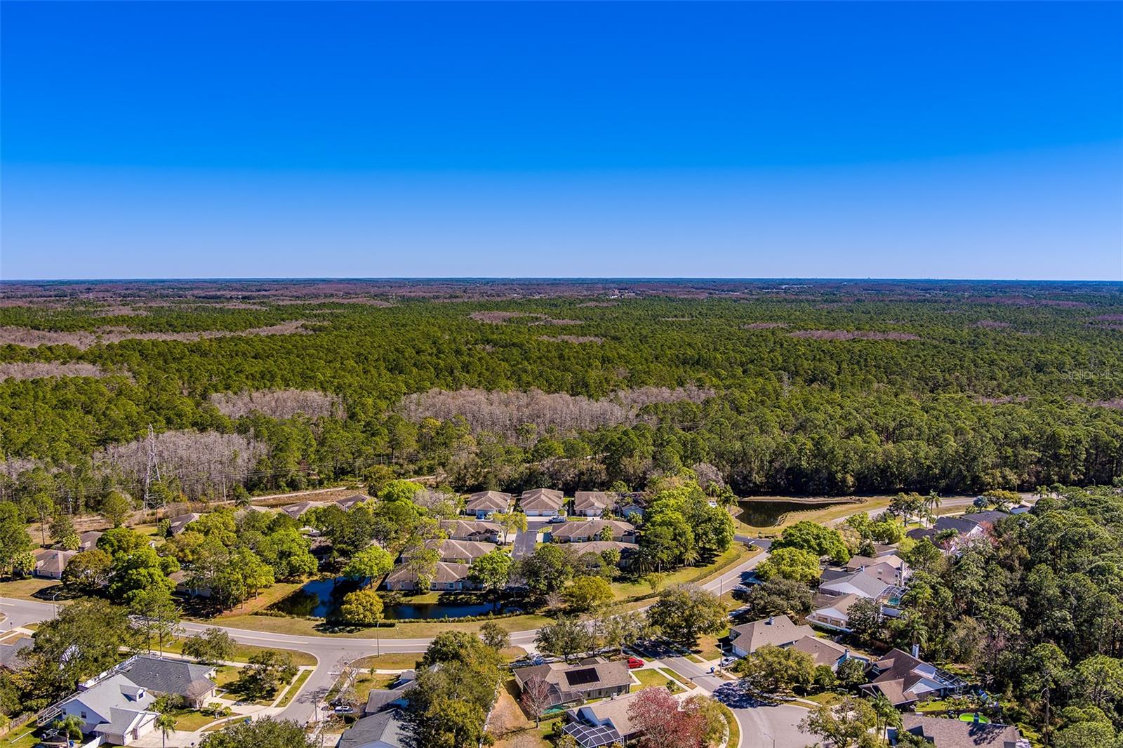 4405 CONNERY CT, PALM HARBOR, FL, 34685