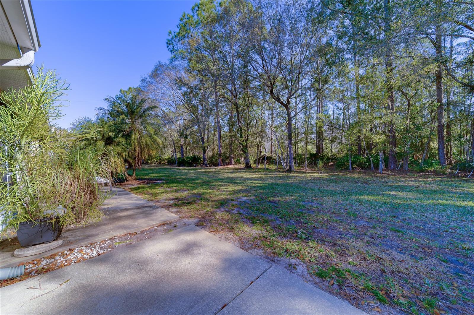 4405 CONNERY CT, PALM HARBOR, FL, 34685