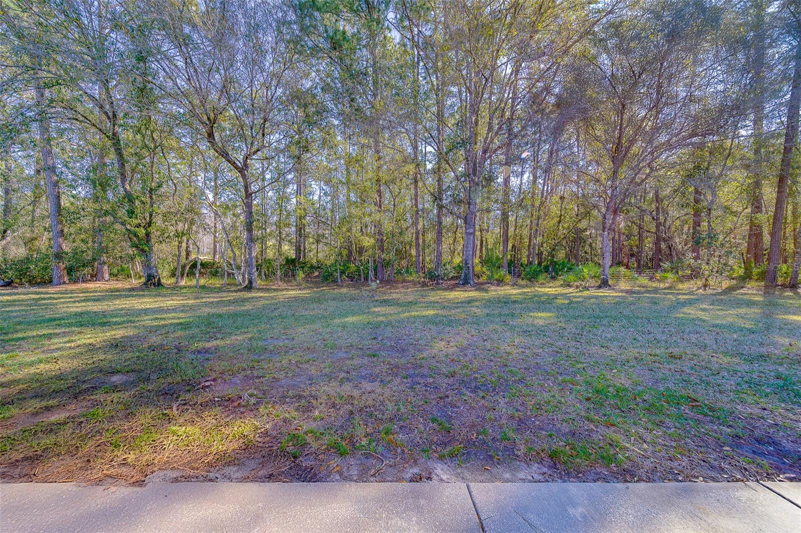 4405 CONNERY CT, PALM HARBOR, FL, 34685