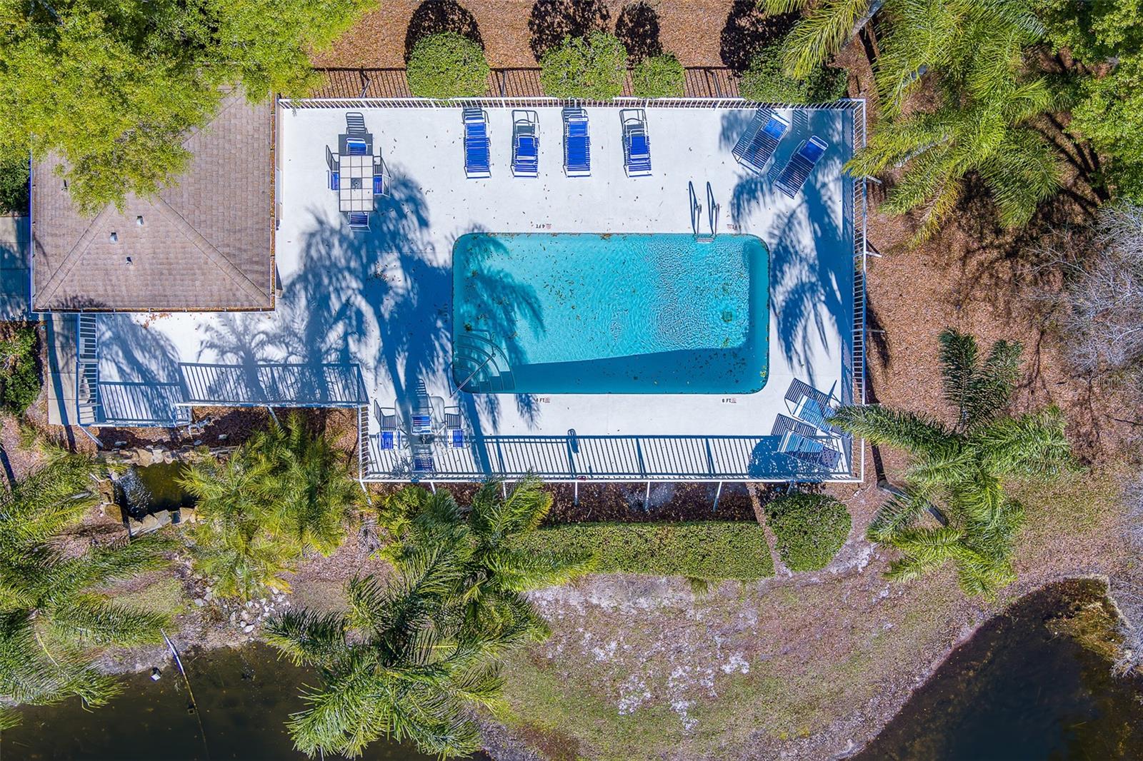 4405 CONNERY CT, PALM HARBOR, FL, 34685