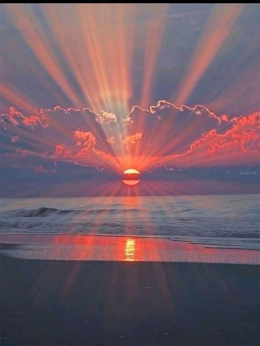 1404 COREY WAY S, SOUTH PASADENA, FL, 33707