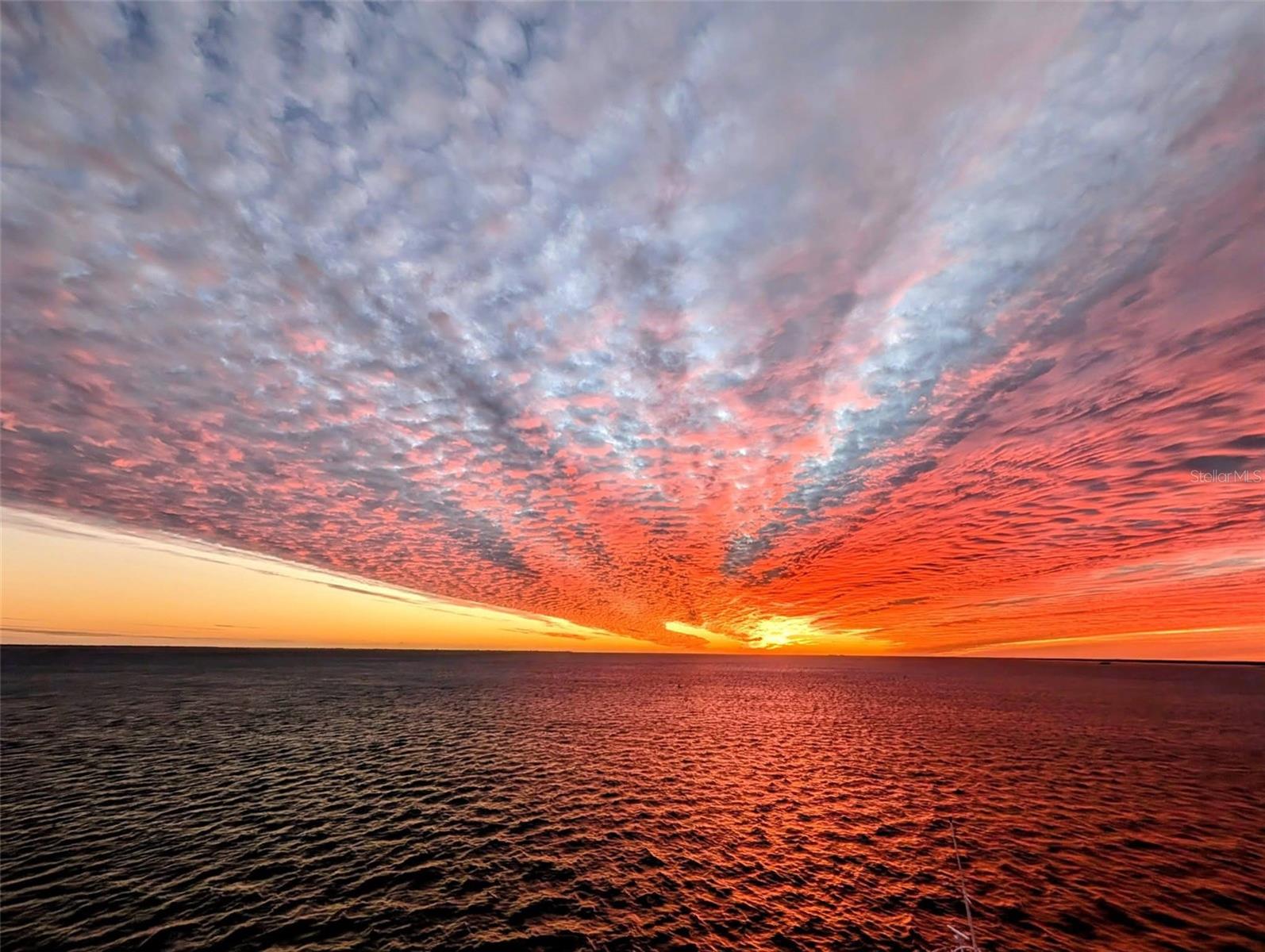 1404 COREY WAY S, SOUTH PASADENA, FL, 33707