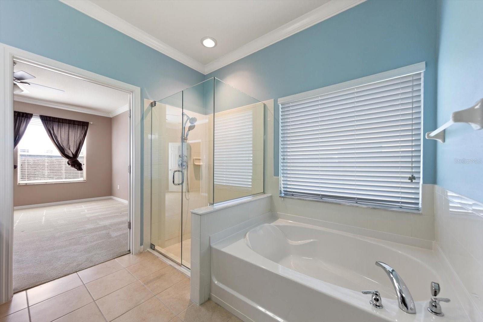 2302 BARRACUDA CT, HOLIDAY, FL, 34691