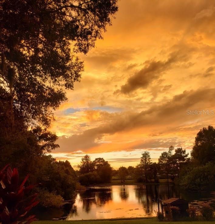 7737 EUREKA DR #203, HUDSON, FL, 34667