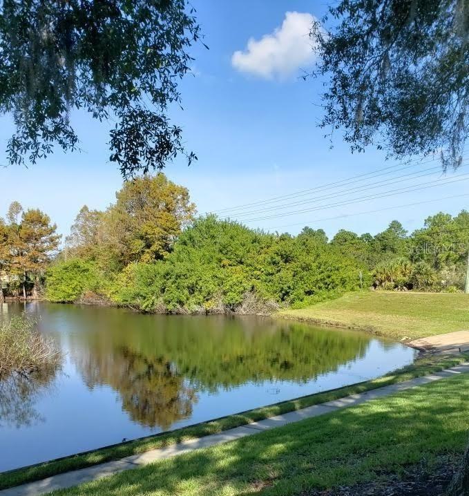 7737 EUREKA DR #203, HUDSON, FL, 34667