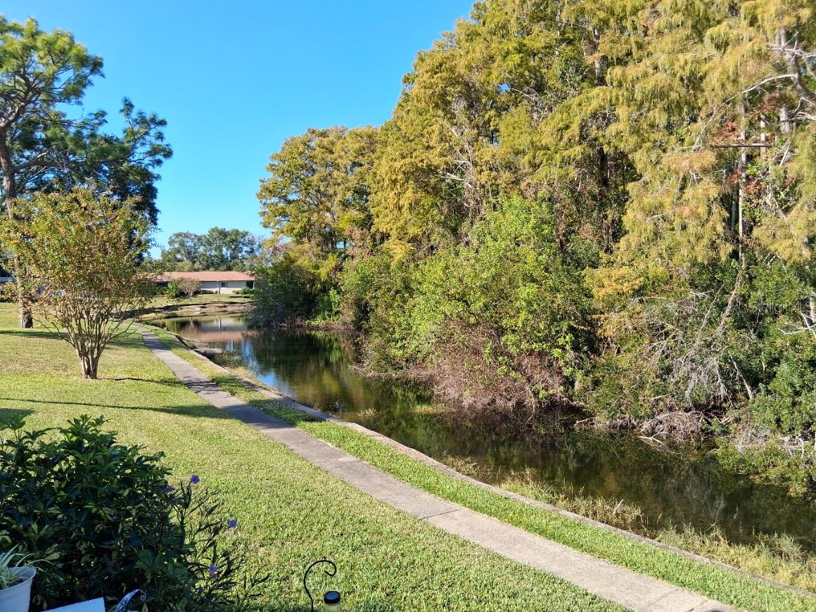 7737 EUREKA DR #203, HUDSON, FL, 34667