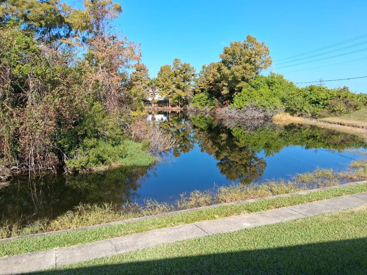 7737 EUREKA DR #203, HUDSON, FL, 34667